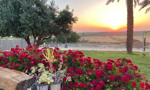 וילה בסגולה