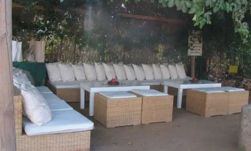 חתונה מיוחדת