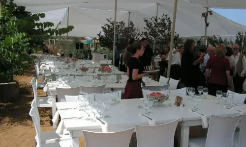 חתונה תחת כיפת השמים