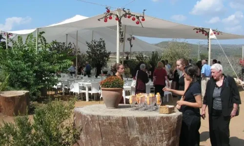 ימי הולדת בצפון