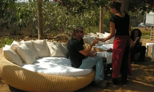 כנסים שדות טל