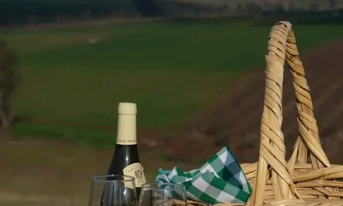 חתונה כפרית בטבע