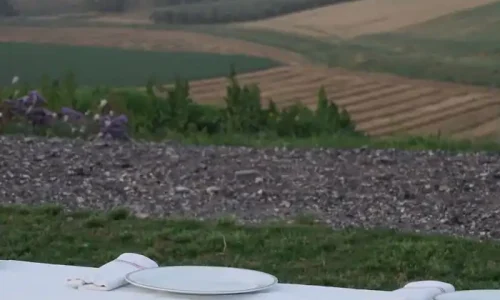 כנסים בצפון