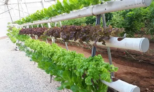 מקום בטבע לאירועי חברה