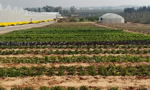 סדנאות בטבע