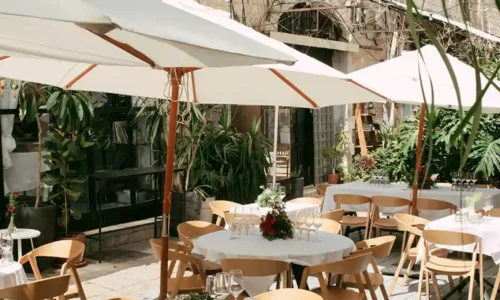 רעמסס אירועים