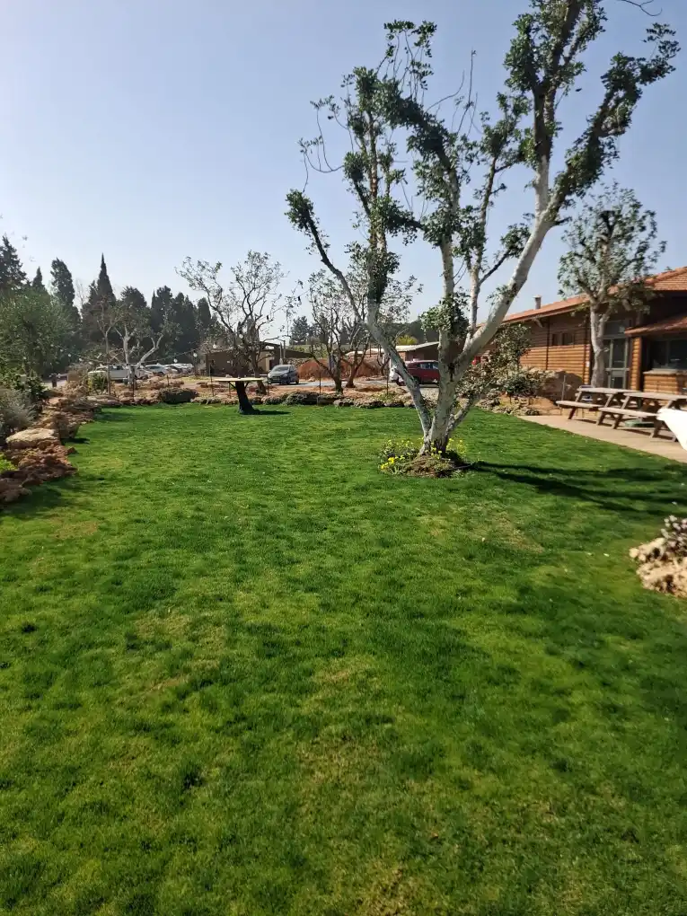 הבית של דני שבתות בר מצווה