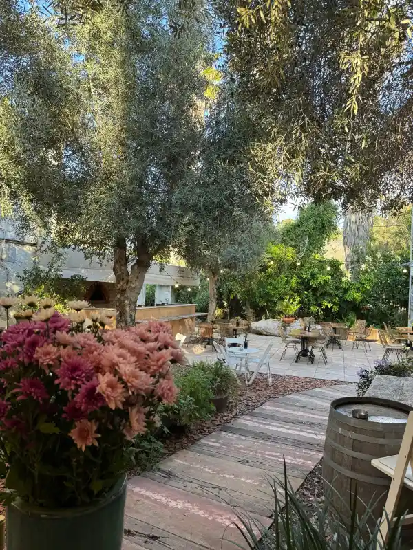 יקב תמרים אירועי חברה בטבע ליד ירושלים