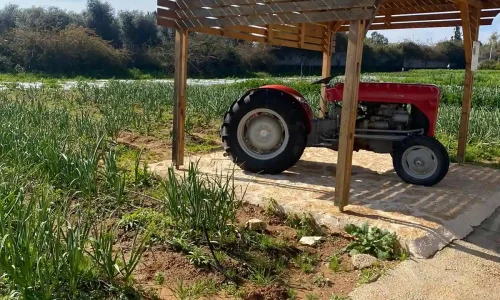 אירוע בחווה אורגנית