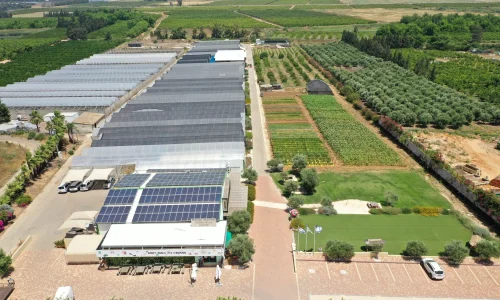 אירוע במקום אקולוגי