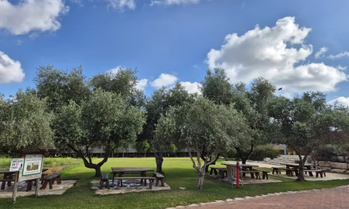 אירוע חברה בחווה