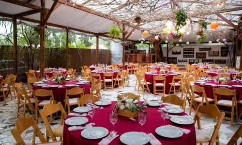 אירוע חברה בטבע בצפון