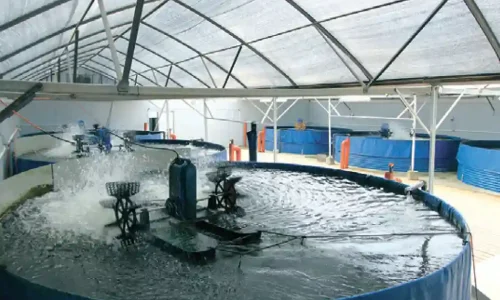 אירוע חברה ליד חדרה