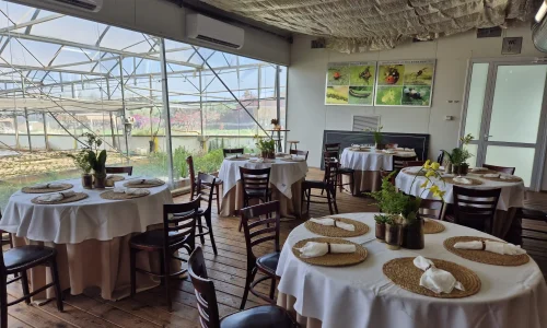 אירוע עסקי בחווה