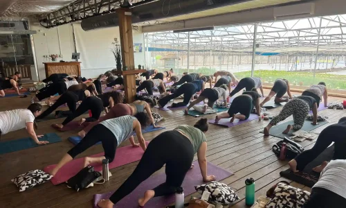 אירועי בוטיק עד 90 איש