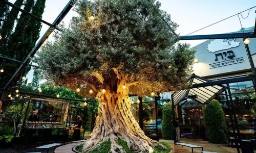 אירועי חברה במרכז