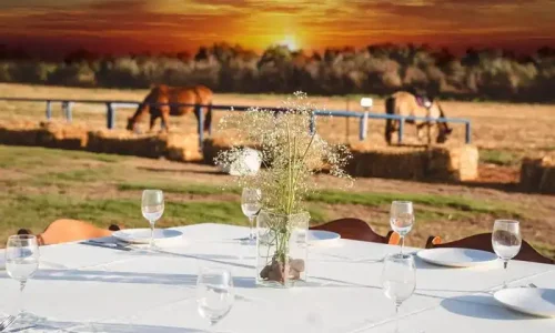 אירועי חברה בפלמינו