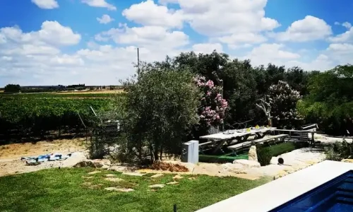 אירועי חברה עם בריכה