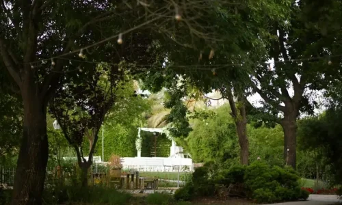 אירועים עסקיים בכחול ירוק