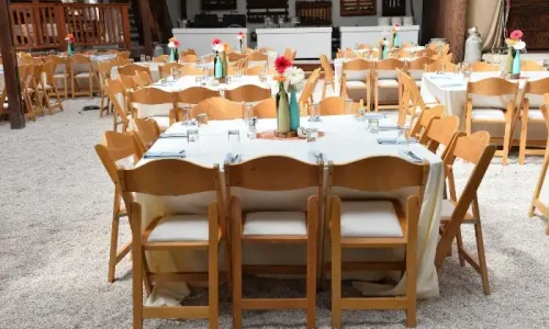 ארוחה עסקית בבית אלפא