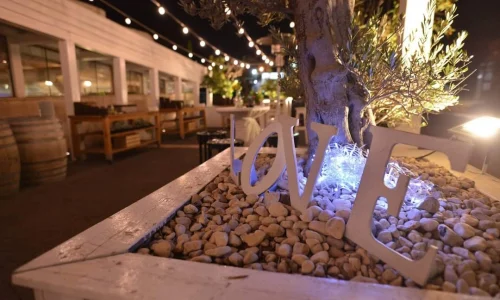 ארוחה עסקית בצפון