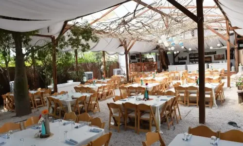 בר מצווה בטבע