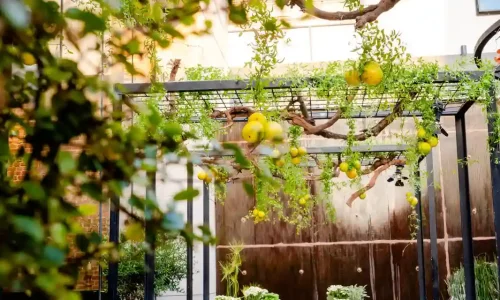 בר מצווה במרכז