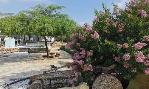 בריכה לאירועים בדרום