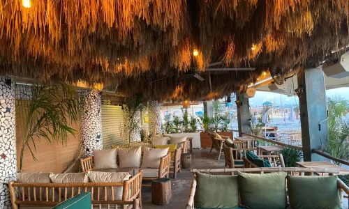 ברית מול הים