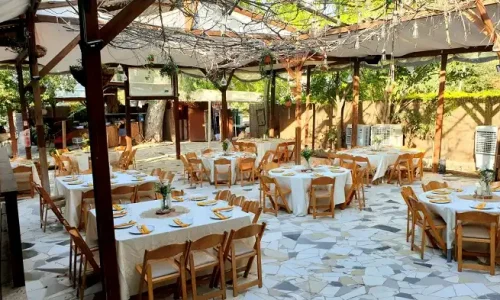 בת מצווה בבית אלפא