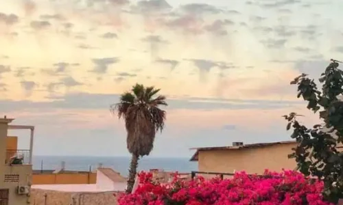 גג למסיבת רווקות