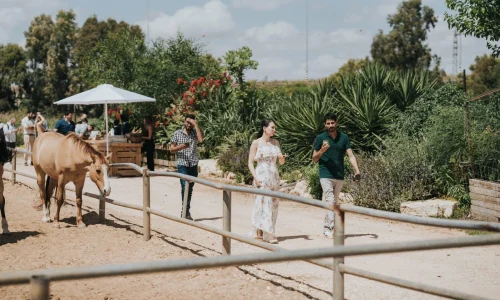 חוות סוסים לאירועים