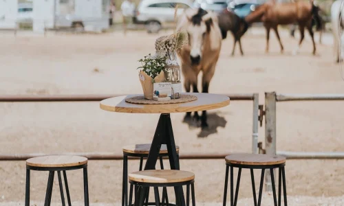 חופה תחת כיפת השמים