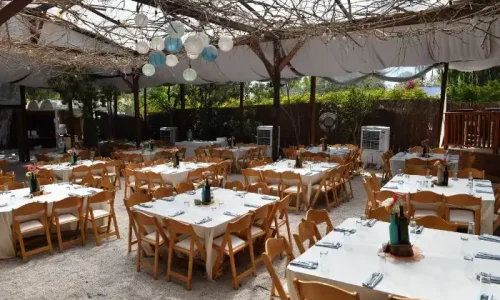 חתונה בטבע בצפון