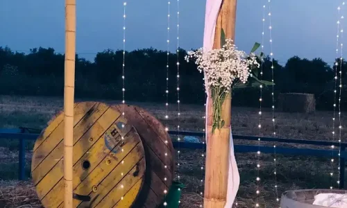 חתונה בשפלה