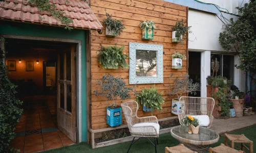 חתונה בשפלה בטבע