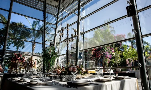 חתונה גדולה בשרון