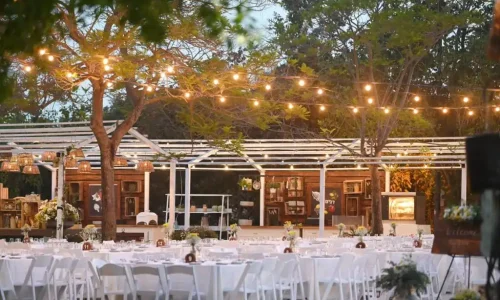 חתונה תחת כיפת השמים