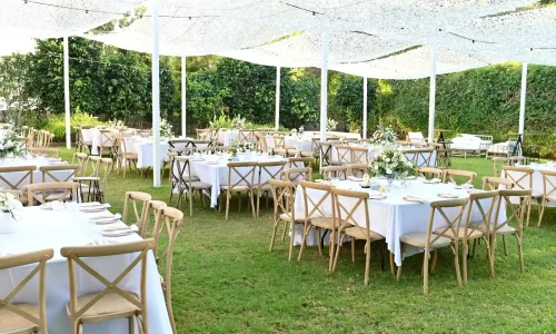 חתונות קסומות במרכז