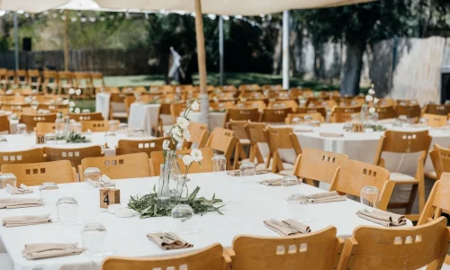 ימי גבוש בצפון