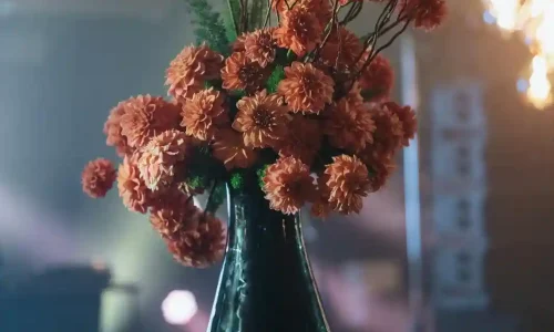 ימי הולדת פרטיים בתל אביב