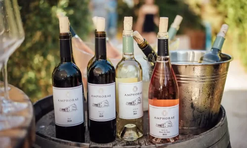 יקב אמפורה אירועי יין לאירועים עסקיים בלב הטבע באיזור חיפה