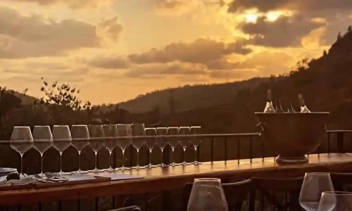 יקב אמפורה אירועים עד 200 אנשים באיזור חיפה טבע נוף