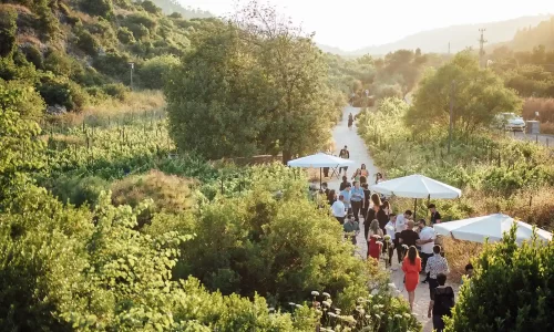 יקב אמפורה יקב לאירועים עד 200 אנשים בטבע פסטורלי, אירועי חוץ ופנים