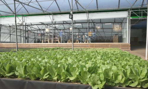 כנס עסקי בחווה