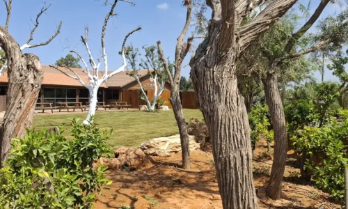 מקום בטבע לאירוע קטן ליד חדרה