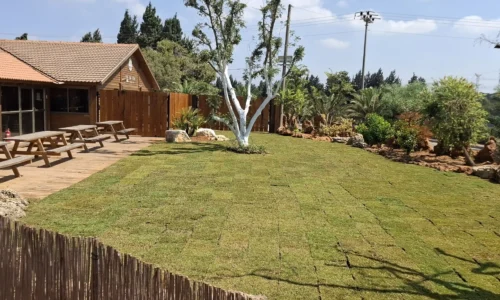 מקום בטבע לחתונה קטנה ליד קיסריה