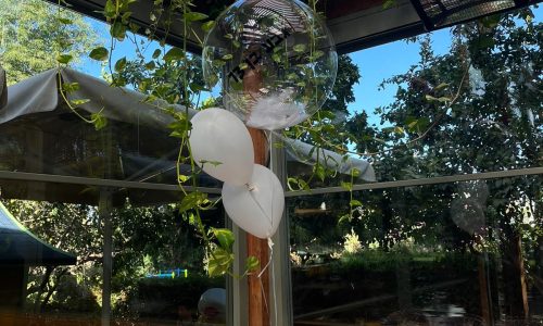 מקום לבריתה