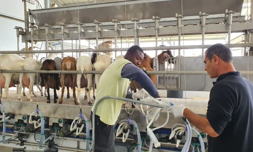 מקום לסדנה בעמק חפר