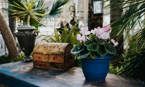 מקומות כפריים לאירועים